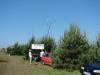 dsc01208_t1.jpg