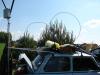 dsc01215_t1.jpg
