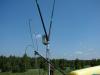 dsc01217_t1.jpg