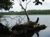 dsc09630_t1.jpg