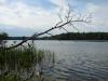 dsc09682_t1.jpg