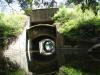 dsc09806_t1.jpg
