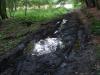 dsc09864_t1.jpg