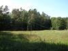 dsc09869_t1.jpg