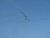 dsc00092_t1.jpg