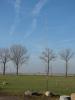 dsc00117_t1.jpg