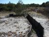 dsc00246_t1.jpg