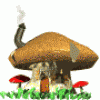 grzyby2gif